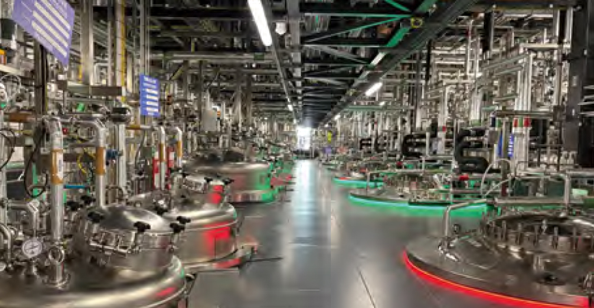 Expanding globally with shared design, equipment and processes established at our Denmark site